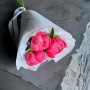 3 коралловых пиона фото 4